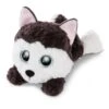 Nici Glubschis Pluchen Knuffel Liggende Husky Barkley, 25cm Online Kopen?