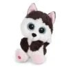Nici Glubschis Pluchen Knuffel Husky Barkley, 15cm Online Kopen?